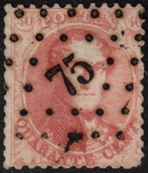 Image Lot