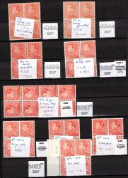 Image Lot