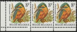 Image Lot