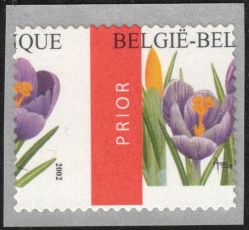 Image Lot