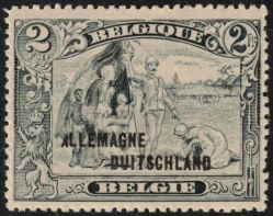 Image Lot