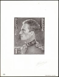 Image Lot