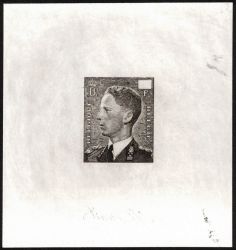 Image Lot
