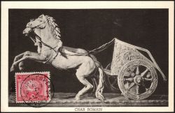 Image Lot