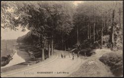 Image miniature
