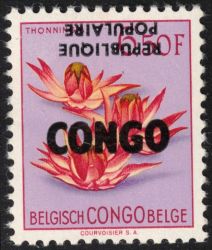 Image Lot