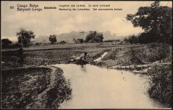 Image miniature