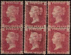 Image Lot