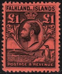 Image Lot