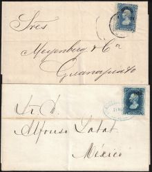 Image Lot