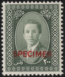 Image Lot